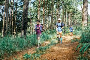 BIB: 
                            <button type="button" onclick="openModal(25756959)" class="btn btn-primary btn-sm float-right btn-popup" data-toggle="modal" data-target=".modal-high-quality">
                        <i class="fas fa-shopping-cart"></i> Add to Cart
                    </button>
                                            <button type="button" onclick="isThisMe(25756959, true)" class="btn btn-success btn-sm float-right btn-popup btn-isme hidden" data-toggle="tooltip" data-placement="bottom" title="นี่คือรูปของคุณใช่ไหม คลิกที่นี่เพื่อเอาเข้าอัลบั้ม">
                        <i class="fas fa-plus"></i> Add to album
                    </button>
                    <button type="button" onclick="isThisMe(25756959, false)" class="btn btn-warning btn-sm float-right btn-popup btn-isnotme hidden">
                        <i class="fas fa-ban"></i> Remove from album
                    </button>